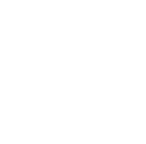 SINSENFIST_LOGO_Picto_Wordmarkx6_Horizontal_white SINSENFIST_LOGO_Picto_Wordmarkx6_Horizontal_white